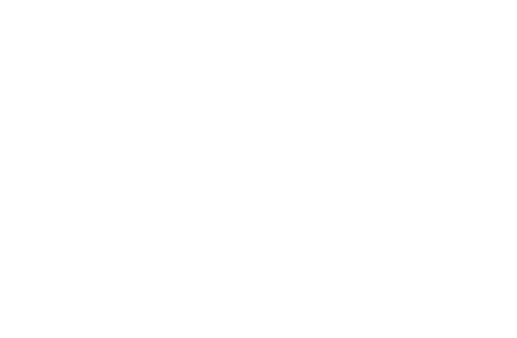 Casutch Consulting